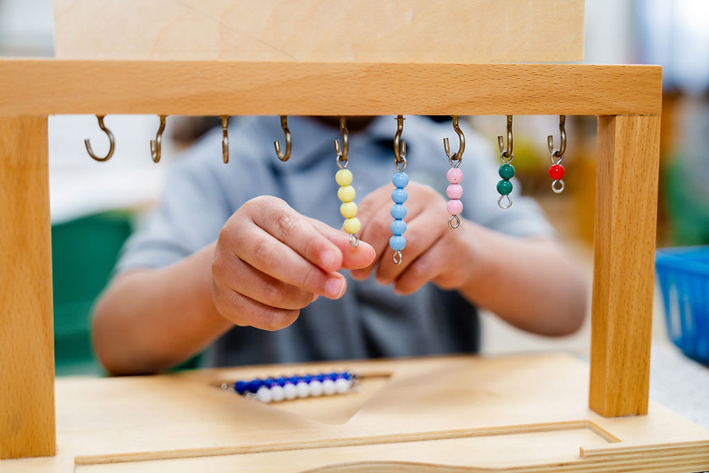 Immersive Learning In A Fully Montessori Aligned Classroom